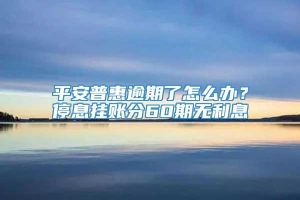 平安普惠逾期了怎么办？停息挂账分60期无利息