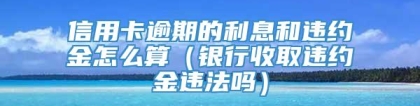 信用卡逾期的利息和违约金怎么算（银行收取违约金违法吗）