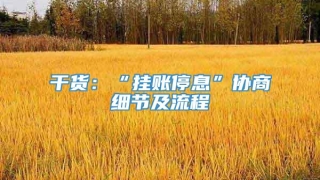 干货：“挂账停息”协商细节及流程