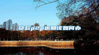 贷款p2p逾期该如何办