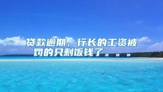 贷款逾期,行长的工资被罚的只剩饭钱了。。。