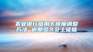 农业银行信用卡额度调整方法 逾期多久会上征信