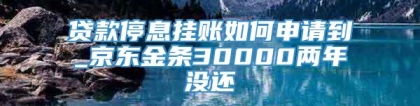 贷款停息挂账如何申请到_京东金条30000两年没还