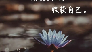 负债累累、债务缠身，如何自我救赎？（四）渡尽劫波