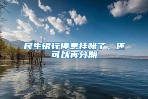 民生银行停息挂账了，还可以再分期