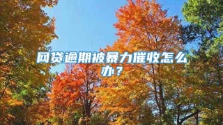 网贷逾期被暴力催收怎么办？