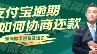 花呗借呗总共欠12万无力偿还,三个步骤教会你如何协商还款