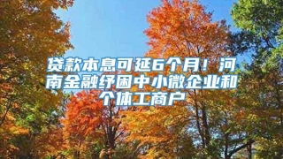 贷款本息可延6个月！河南金融纾困中小微企业和个体工商户