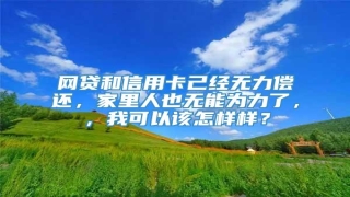 网贷和信用卡己经无力偿还,家里人也无能为力了,,我可以该怎样样?