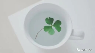 负债累累，贷款全面逾期，人生进入瘫痪状态中，我该怎么办？