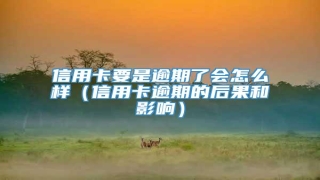 信用卡要是逾期了会怎么样(信用卡逾期的后果和影响)