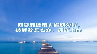 网贷和信用卡逾期欠钱,被催收怎么办,保你上岸