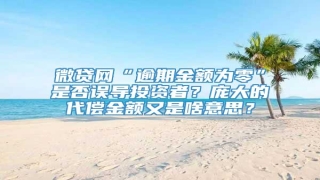 微贷网“逾期金额为零”是否误导投资者?庞大的代偿金额又是啥意思?