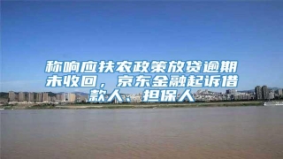 称响应扶农政策放贷逾期未收回,京东金融起诉借款人、担保人