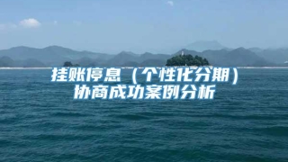 挂账停息（个性化分期）协商成功案例分析