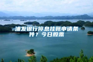 浦发银行停息挂账申请条件？今日股票