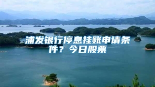 浦发银行停息挂账申请条件?今日股票