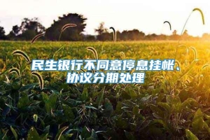 民生银行不同意停息挂帐、协议分期处理