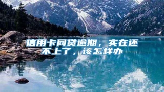 信用卡网贷逾期,实在还不上了,该怎样办