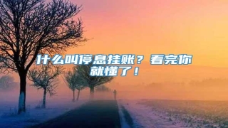 什么叫停息挂账?看完你就懂了!