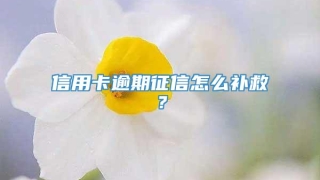 信用卡逾期征信怎么补救?