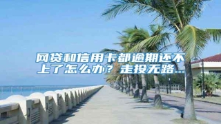 网贷和信用卡都逾期还不上了怎么办?走投无路...