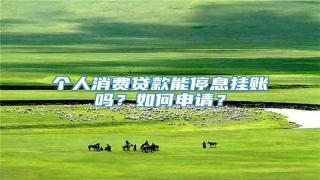个人消费贷款能停息挂账吗?如何申请?
