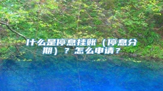 什么是停息挂账(停息分期)?怎么申请?
