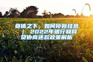 负债之下，如何停账挂息 ｜ 2022年银行和网贷协商还款政策解析