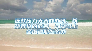 还款压力太大咋办呀，以贷养贷的危害，网贷马上全面逾期怎么办