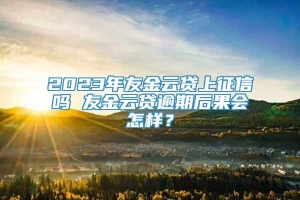 2023年友金云贷上征信吗 友金云贷逾期后果会怎样？