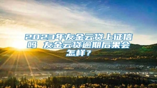 2023年友金云贷上征信吗 友金云贷逾期后果会怎样？