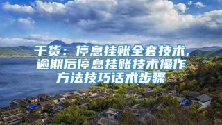 干货：停息挂账全套技术,逾期后停息挂账技术操作方法技巧话术步骤