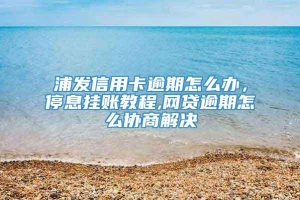 浦发信用卡逾期怎么办，停息挂账教程,网贷逾期怎么协商解决