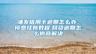 浦发信用卡逾期怎么办,停息挂账教程,网贷逾期怎么协商解决