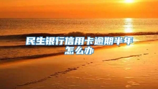 民生银行信用卡逾期半年怎么办