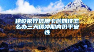 建设银行信用卡逾期该怎么办三天缓冲期内仍平安性