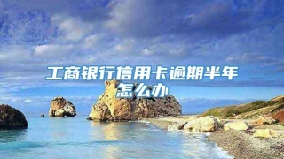 工商银行信用卡逾期半年怎么办