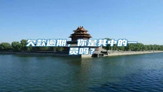 欠款逾期,你是其中的一员吗?