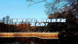 信用卡欠款,现在还不起怎么办?