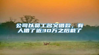 公司以员工名义借款,有人借了近30万之后栽了