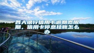 各大银行信用卡逾期宽限期,信用卡停息挂账怎么办