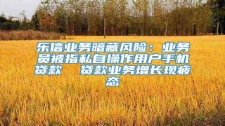 乐信业务暗藏风险:业务员被指私自操作用户手机贷款  贷款业务增长现疲态