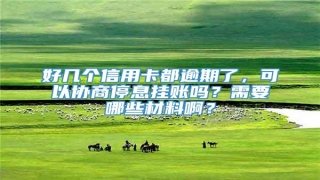 好几个信用卡都逾期了,可以协商停息挂账吗?需要哪些材料啊?
