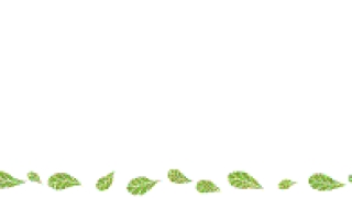 网贷逾期不还熬过4个月就成“烂账”？网友摇头：是巨额利息