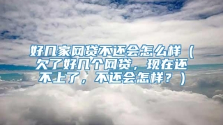 好几家网贷不还会怎么样(欠了好几个网贷,现在还不上了,不还会怎样?)