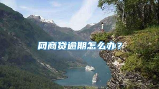 网商贷逾期怎么办？