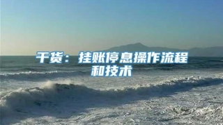 干货:挂账停息操作流程和技术