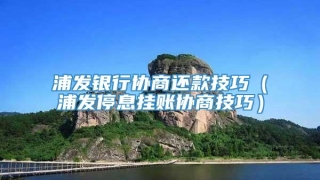 浦发银行协商还款技巧(浦发停息挂账协商技巧)