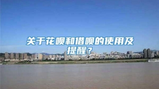 关于花呗和借呗的使用及提醒?